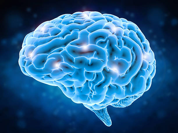 blue graphic of brain
